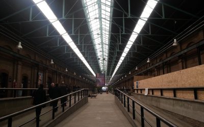 UNIVERSIDAD PÚBLICA