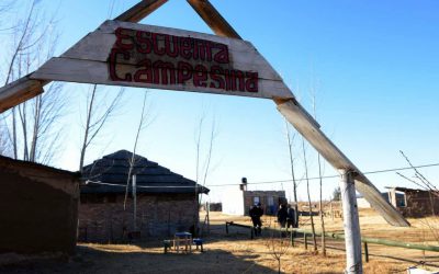 NO COMPREMOS PESCADO PODRIDO