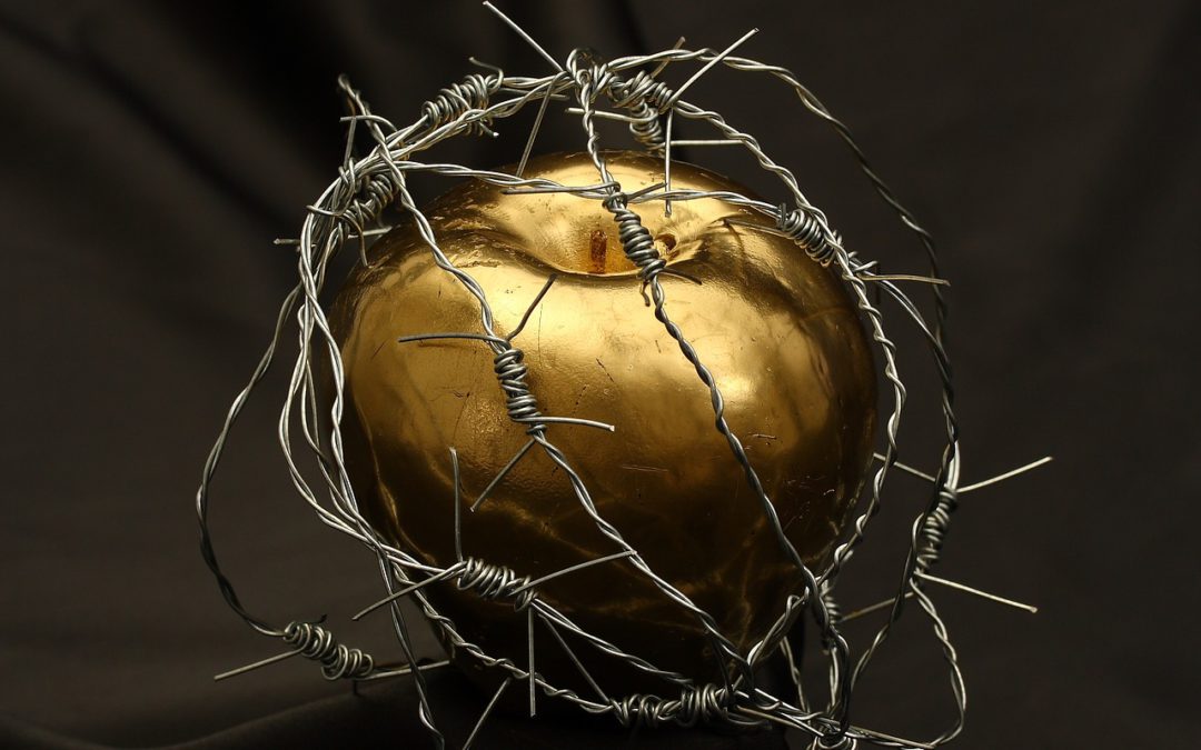 HAGAMOS TRANSPARENTE LO QUE NOS QUIEREN OCULTAR, Y DECIDAMOS LO QUE NOS CONVIENE