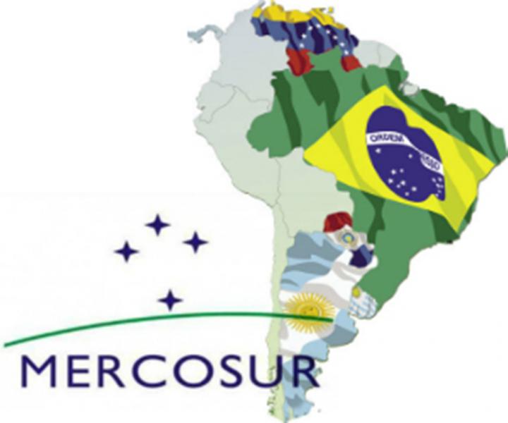 MERCOSUR 3: APORTES MENDOCINOS: GABRIEL FIDEL – ROBERTO ROITMAN