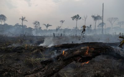 LA OPORTUNIDAD QUE NO HAY QUE PERDER: UN PAÍS MEJOR EN UN MUNDO MEJOR