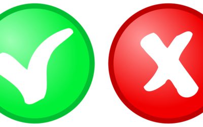 LA ELECCIÓN MENDUCA: ¿ACIERTO O ERROR?