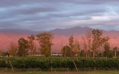 DE AGENDAS Y AUTORIDAD POLÍTICA: LAS PYMES DE MENDOZA TIENEN UN ROL FUNDAMENTAL