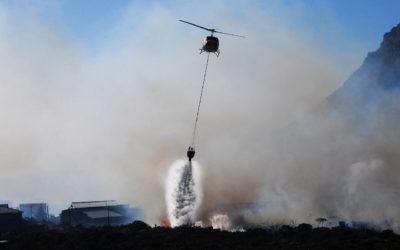 EMPECEMOS A HABLAR DE ECOCIDIO, ANTES DE QUE SEA DEMASIADO TARDE